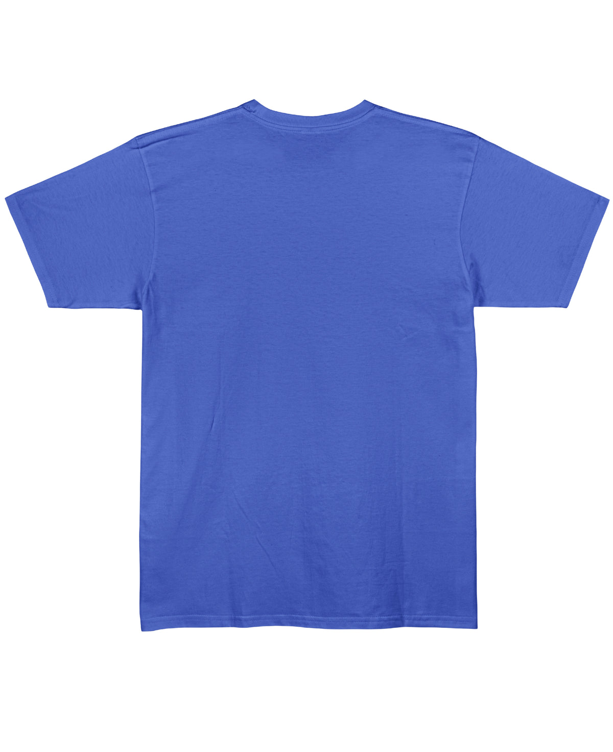 Blue Regular Fit T-shirt Back Design